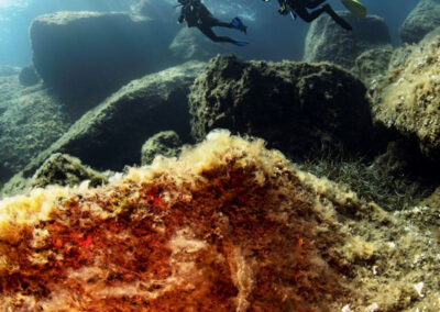 Ventotene escrursioni subacquee