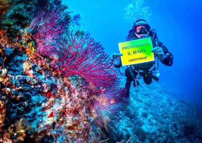 Ventotene escrursioni subacquee