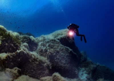 Ventotene escrursioni subacquee